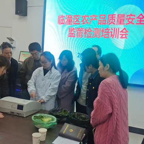 身边的好党员：韦欢欢的故事