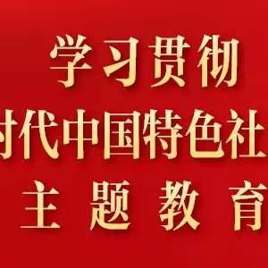 中共中央办公厅《关于巩固拓展学习贯彻习近平新时代中国特色社会主义思想主题教育成果的意见》