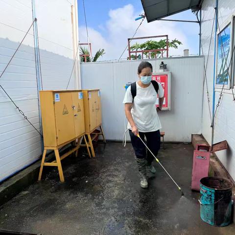 爱国卫生齐发力 筑牢健康防护墙