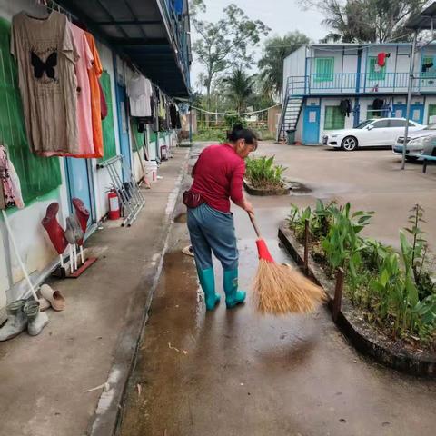 爱国卫生齐发力 筑牢健康防护墙