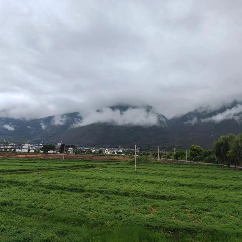 仲夏自由行之四 ——大理西海岸