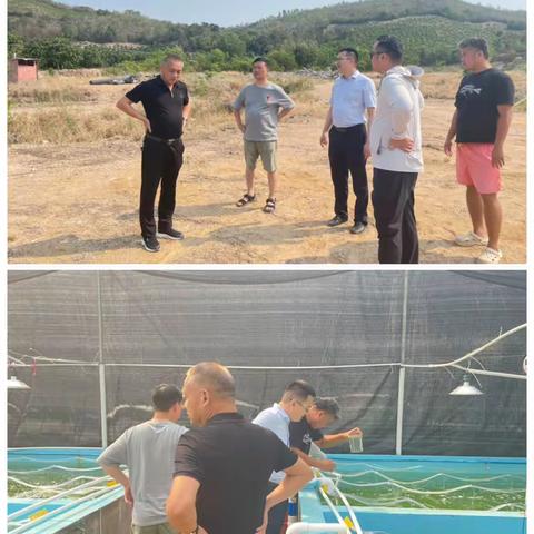 三亚农投集团董事长时亚南带队赴崖州春蕾集团、乐东水产南繁石斑鱼绿色生态繁育及科研示范基地考察交流