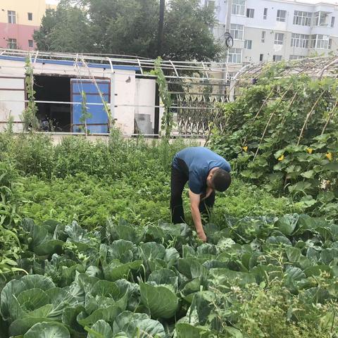 “小菜园”增添“大幸福”