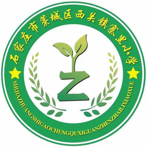 欢乐六一 阳光下成长——藁城区西关镇寨里小学庆六一暨儿童节文艺汇演