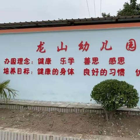 龙山幼儿园——走进小学，“幼”见成长