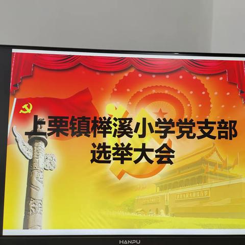 创新机制求发展，选准人才谋新篇——上栗县上栗镇榉溪小学召开党支部委员会选举大会