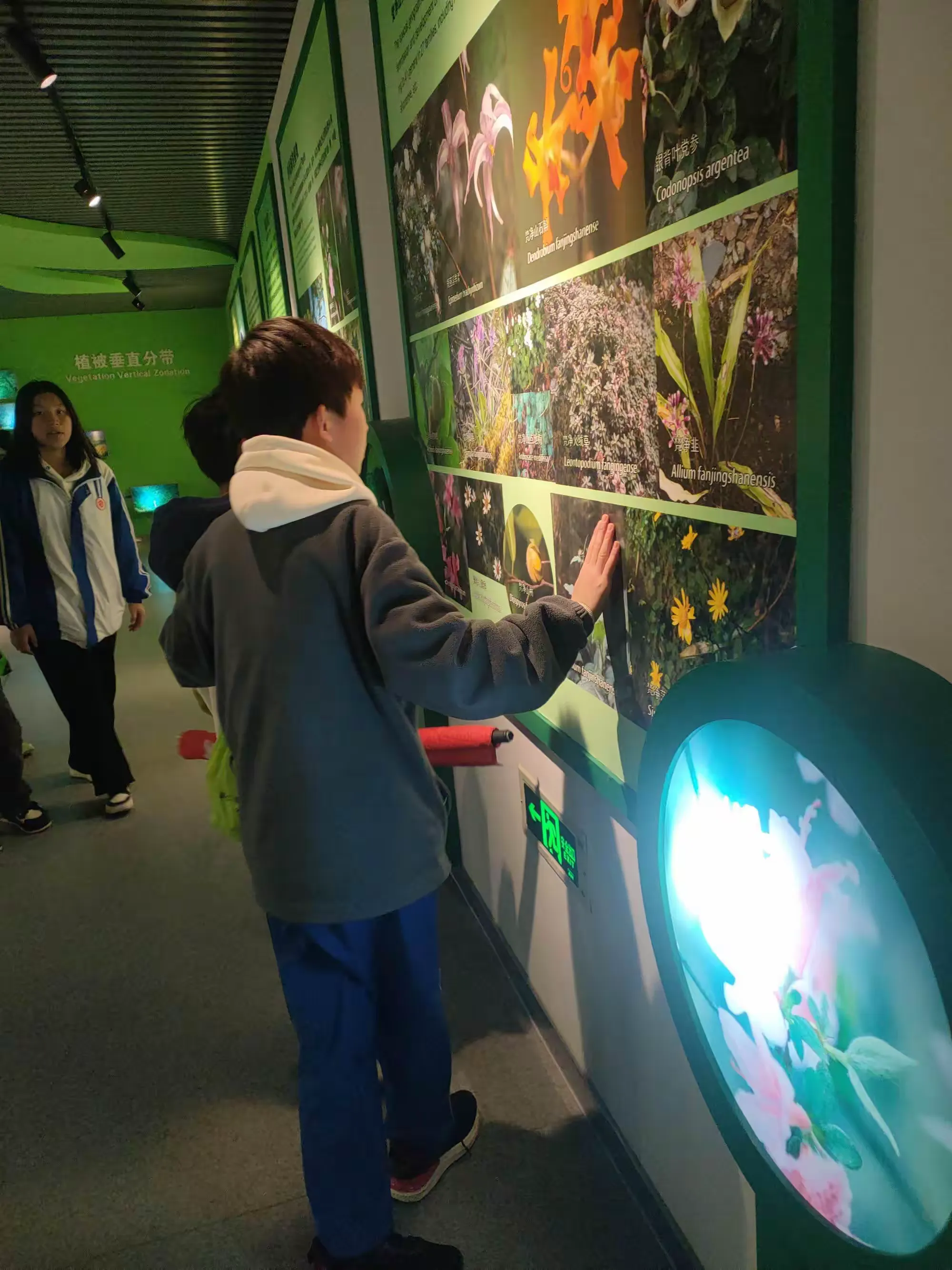 简篇-2024年闵孝中学 八(5)班春季研学走入江口梵净山研学实践活动
