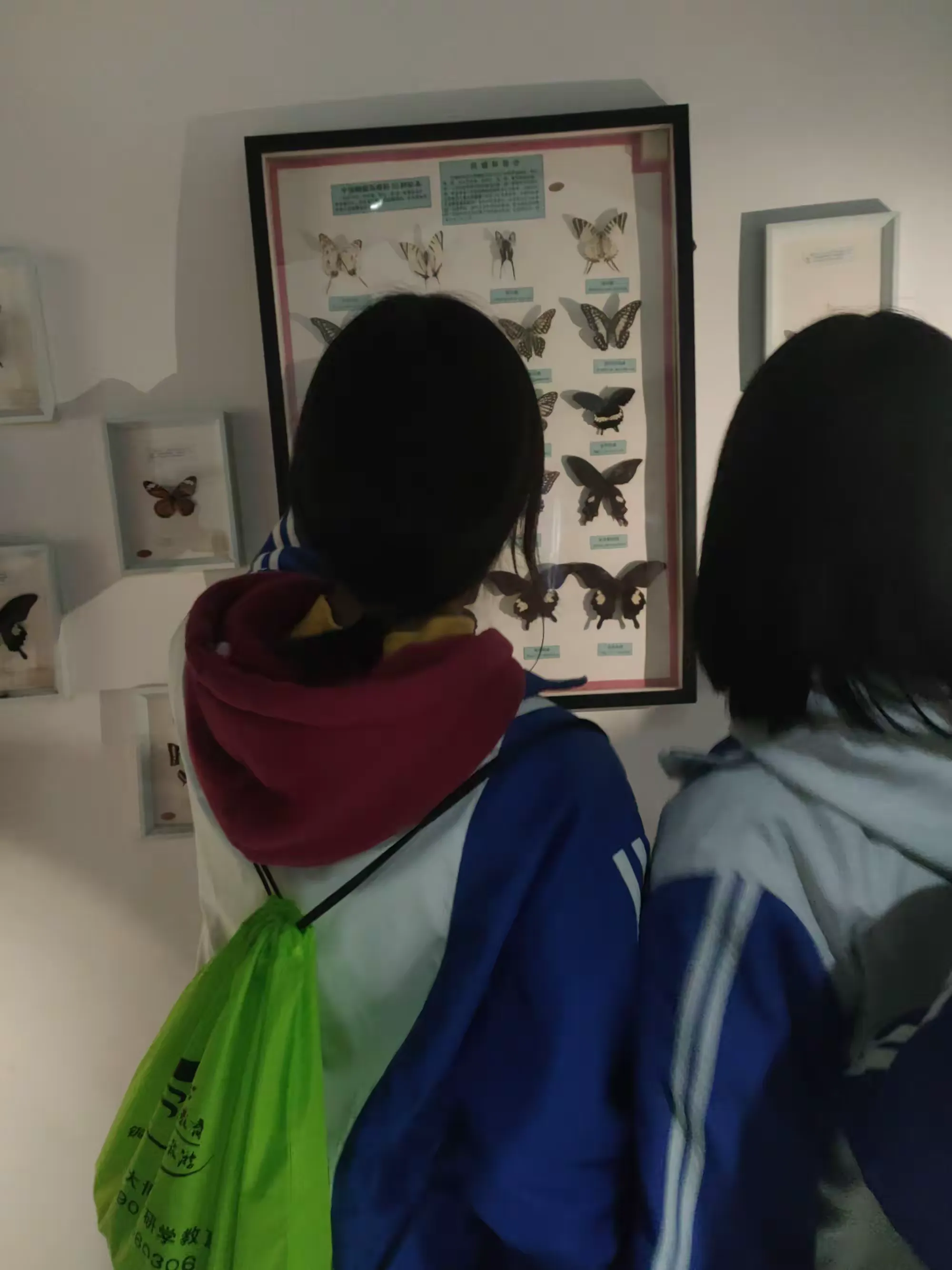 简篇-2024年闵孝中学 八(5)班春季研学走入江口梵净山研学实践活动