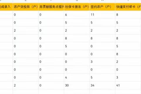 10月17日丰润支行乡村振兴工作日志