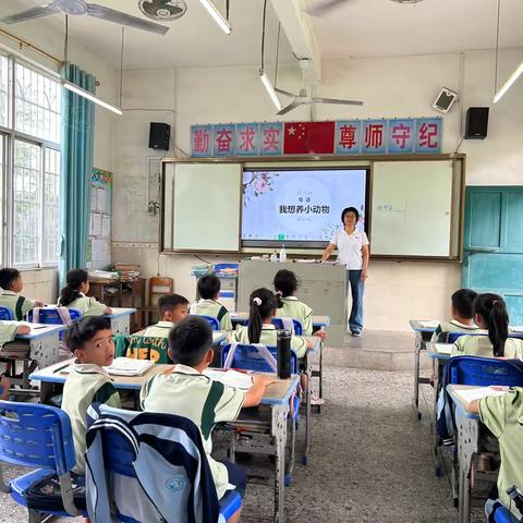 学无止境，“语”你同行——茂林镇泉东小学语文公开课