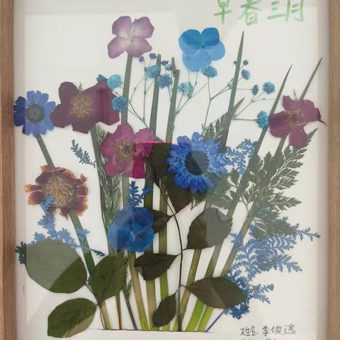 长安路小学二1班花标本手工制作活动纪实