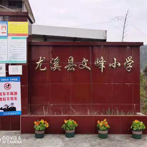 送教下校，携手共进--文峰小学