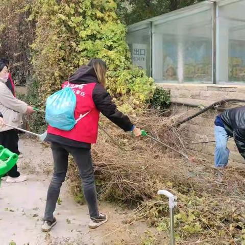 润园社区开展环境治理志愿活动，获居民点赞