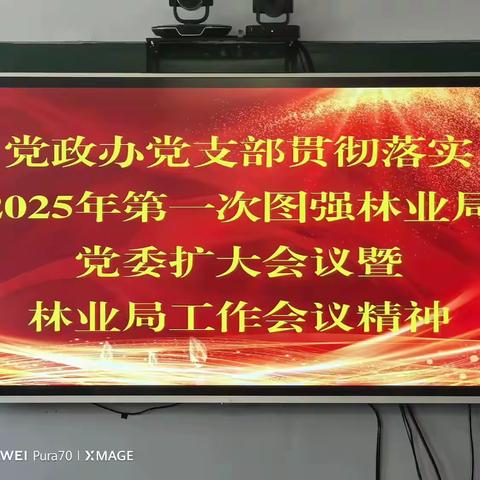 党政办公室支部学习贯彻2025年集团和林业局“两会”精神