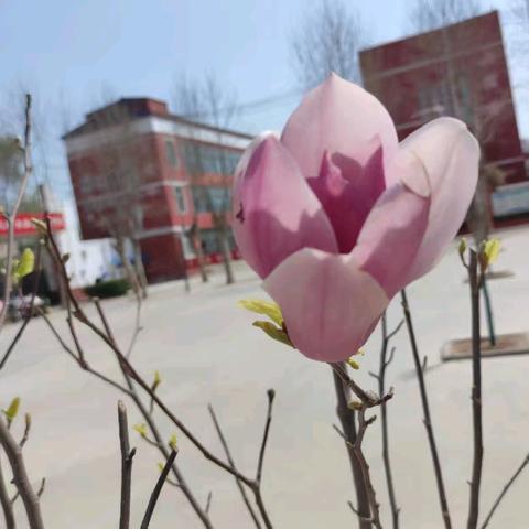 以自强之光照亮前行之路——记一堂意义非凡的思政课