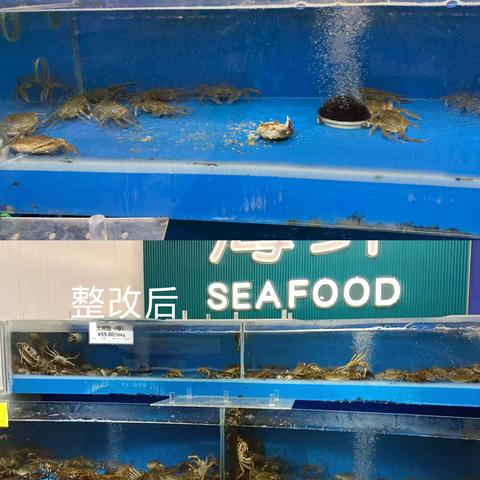 8月24日营运部巡店整改照片回传