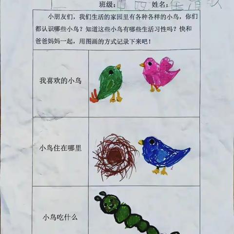 你好，小鸟 ——三月份主题活动纪实