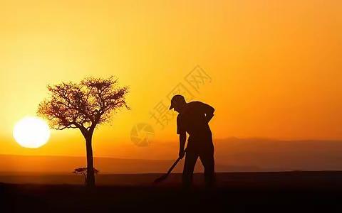 《七彩假期 你我同行》——大西韩小学六年级“劳动篇”