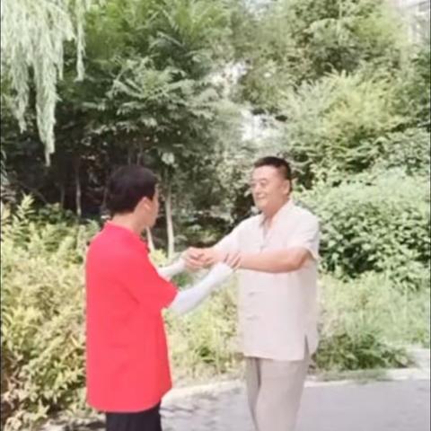 汪脉内功太极推手5