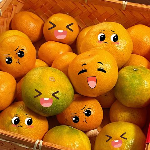 【小二班】遇见🍊橘子