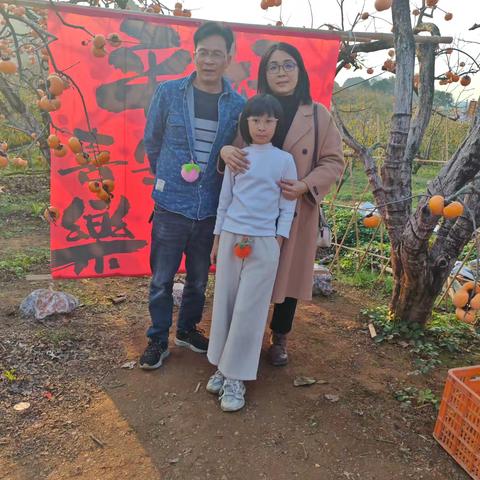 恭城瑶乡柿子季：邂逅田园里的丰收喜悦