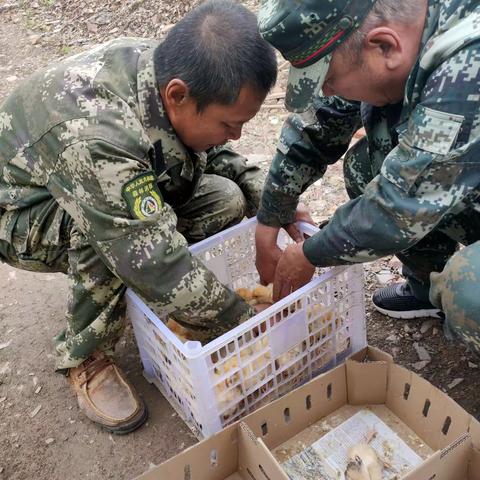 红星林场管护站经济