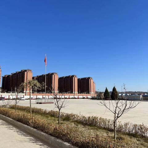 【新网师学习心得】沁县明德小学｜秦臻铮——行思结合 学中感悟