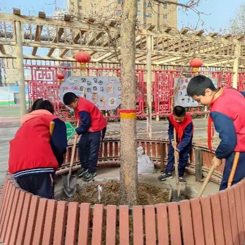 种花种梦想  劳动促成长——和田市第三小学种植实践活动