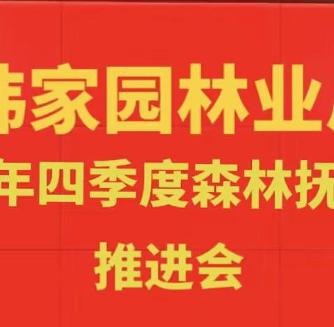 韩家园林业局召开2023年度           四季度森林抚育工作推进会