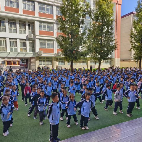 育新实验学校七年级度重阳节感恩主题--树叶拼贴活动画记