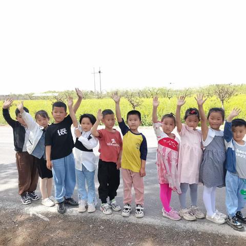 童游油菜花 感知春意浓——高川乡后村幼儿园大班春游活动