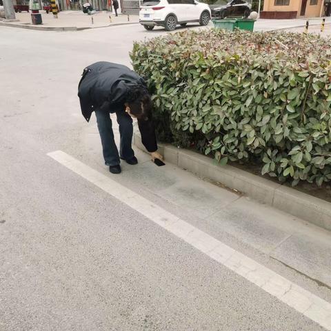 路“捡”手机还失主，拾“机”不昧暖人心