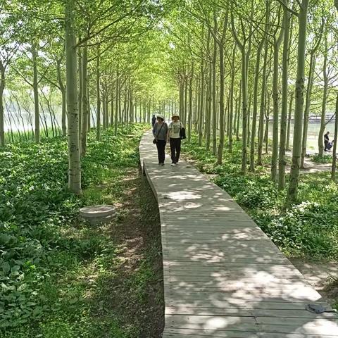 2023-05-27首山-辽化-葛西河