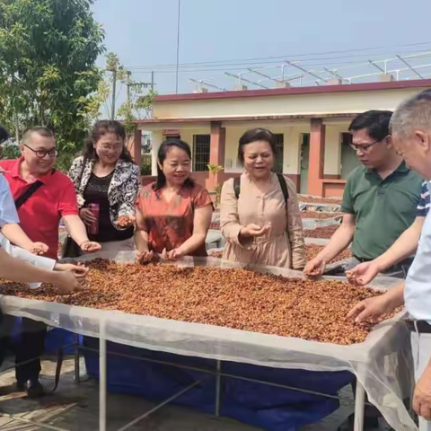 琼中作协采风团走进大丰母山咖啡园及部分作家同题诗