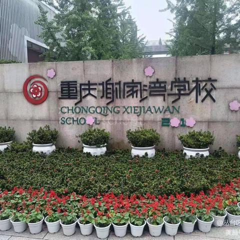 曙光教育集团赴重庆考察学习纪实（四）