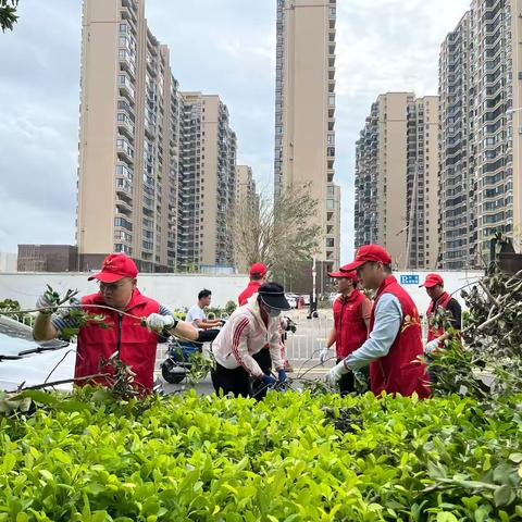 众志成城护家园｜海口市人民政府研究室开展台风“摩羯”灾后重建工作