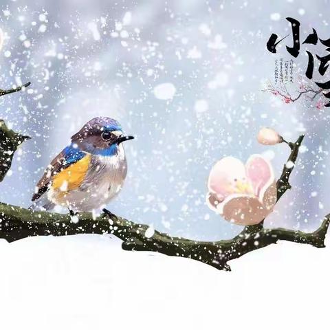 “小雪至，寒冬始”——福永下十围幼儿园小雪主题活动