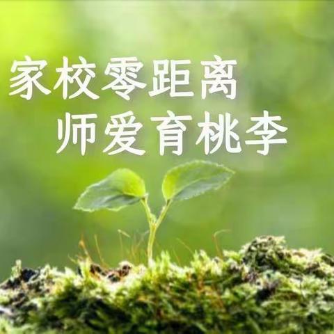 爱在家访，花开无声————记二（2）班 家访活动