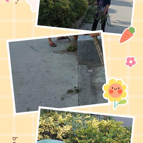 炎炎夏日的环境整治