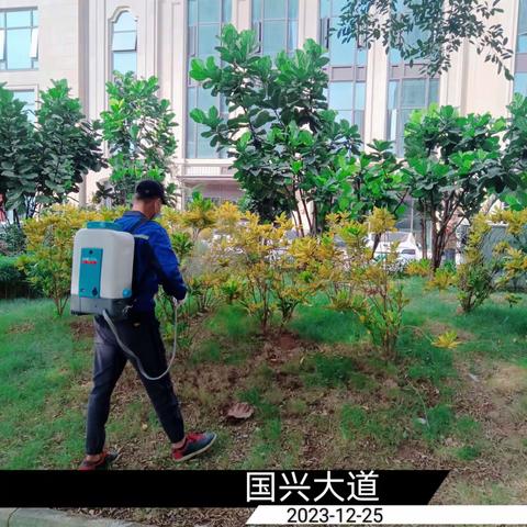 2023年12月25日蓝天海府片区病媒防制工作日志