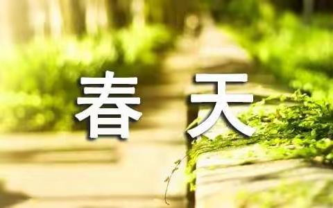 “青春有我，放飞梦想”花甸镇中学开展户外综合实践活动