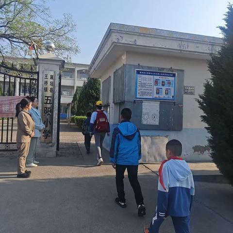 五阳小学一日动态