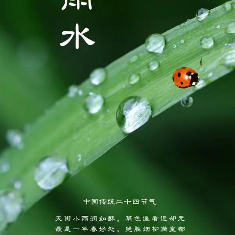 “草木萌动 雨水有约”——城西区第二幼儿园二十四节气活动宣传——雨水