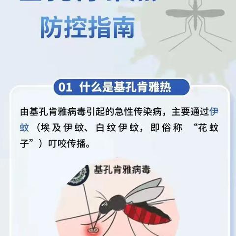 预防基孔肯雅热，我们在行动（万华幼儿园）
