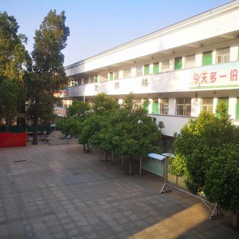 夏已至，万物盛，莫负好时光（秋扒小学2022-2023学年第二学期第15周工作纪实）