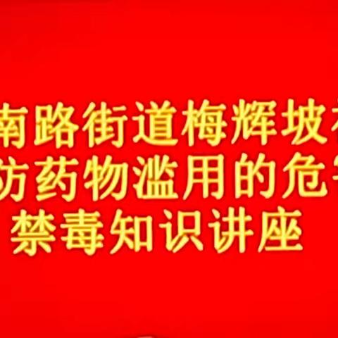 英雄南路街道梅辉坡社区开展“预防药物滥用的危害·禁毒知识讲座”宣传活动