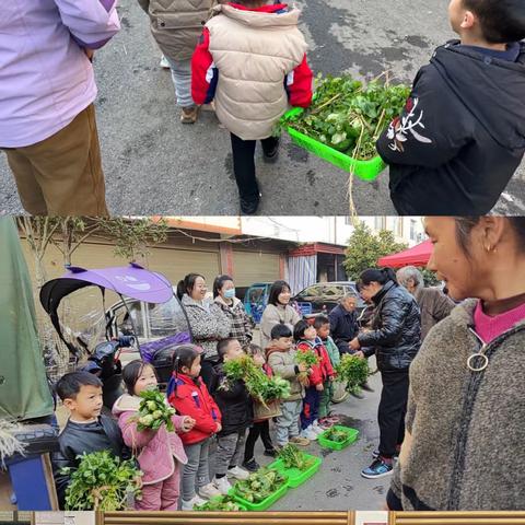 卖菜啦，卖菜啦！——九龙镇中心幼儿园绿色蔬菜售卖啦！