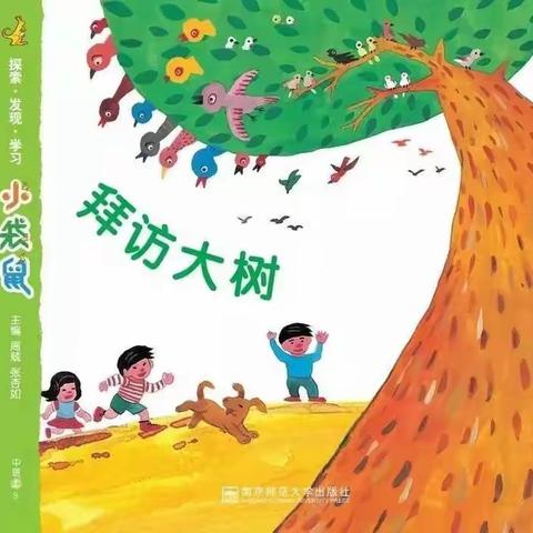 【六幼保教动态】拜访大树——宝塔区第六幼儿园十一月主题汇报