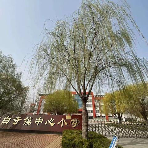 奔跑吧少年——表白寺镇中心小学混合接力比赛纪实