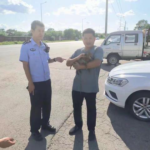 【法治公安建设年】警察找回走失爱犬，狗主人感激不尽